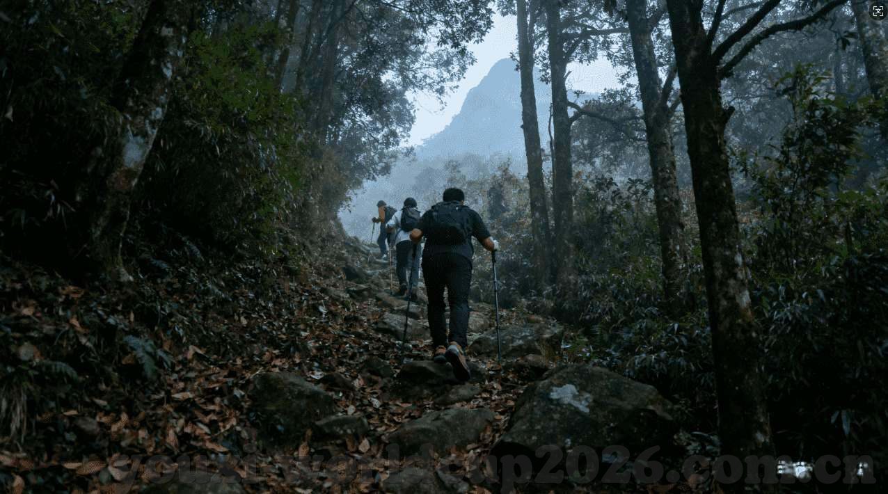 看世界杯怎么买球-看世界杯怎么买球，策略与技巧