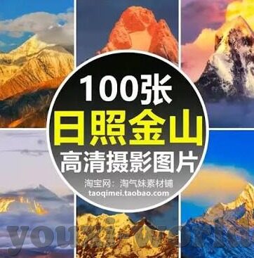 世界杯巴西v哥斯达-世界杯巴西VS哥斯达,激情碰撞与战术博弈